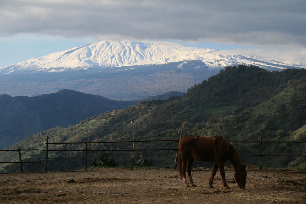 Agriturismo San Cataldo Motta Camastra المظهر الخارجي الصورة